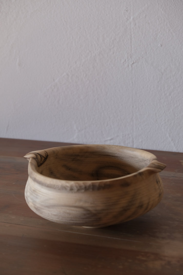 手付器 モチノキ